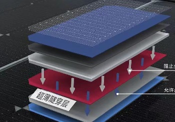 Solar N-type Tiger Neo modules