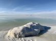 Paradox Lithium Carbonate Prices Fall and Money Influx