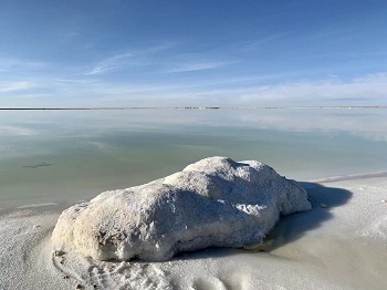 Paradox Lithium Carbonate Prices Fall and Money Influx – 副本 Paradox Lithium Carbonate Prices Fall and Money Influx