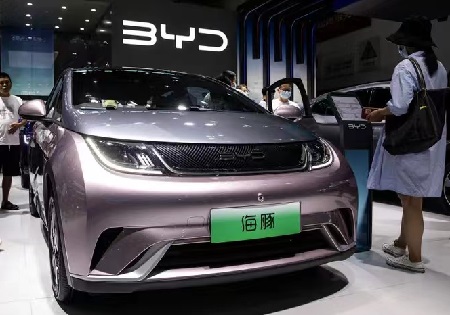 1 BYD Blade Lifepo4 Batteries BYD Blade Lifepo4 Batteries